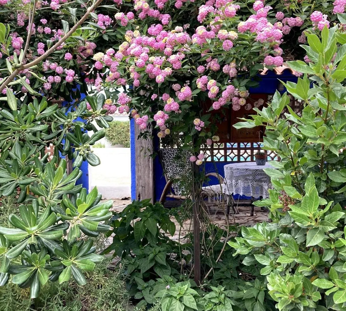 Apartamento La Casita Azul, L'Escala, Con Climatizacion